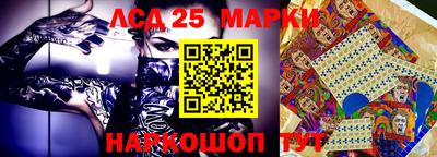 индика Ярославль