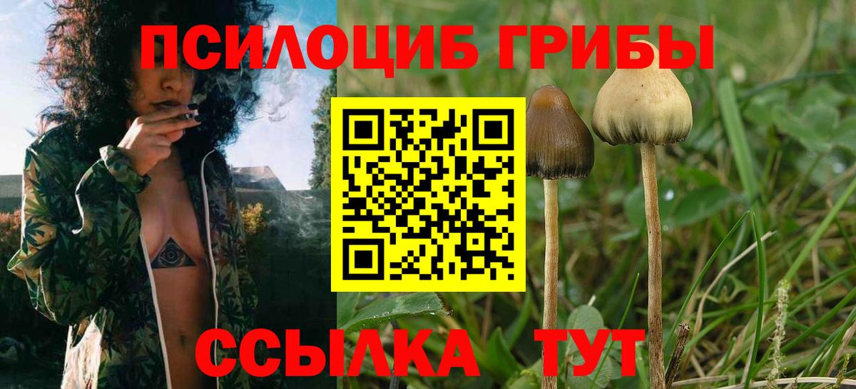 Псилоцибиновые грибы ЛСД Партизанск