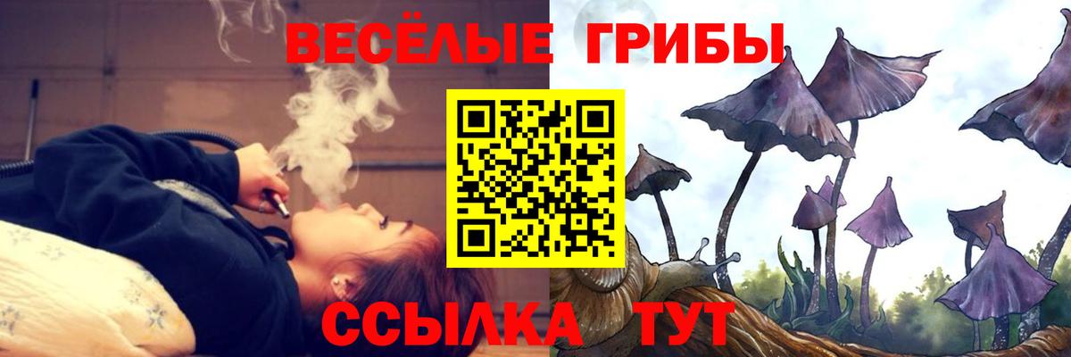 Галлюциногенные грибы прущие грибы  Псилоцибиновые грибы GOLDEN TEACHER  Партизанск  Вход с VPN 